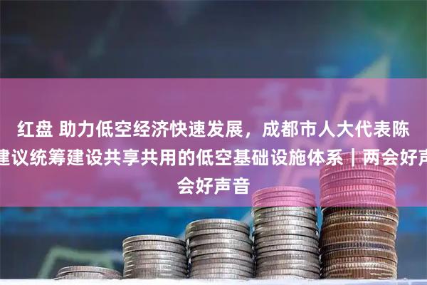 红盘 助力低空经济快速发展，成都市人大代表陈凯建议统筹建设共享共用的低空基础设施体系｜两会好声音