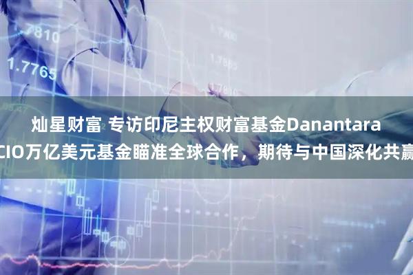 灿星财富 专访印尼主权财富基金Danantara CIO万亿美元基金瞄准全球合作，期待与中国深化共赢
