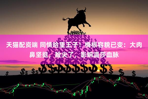 天猫配资端 同情哈里王子！梅根容貌已变：大肉鼻坚挺，脸尖了，影响温莎血脉